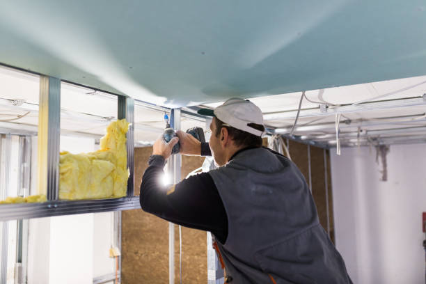 Best Insulation Maintenance and Repair in Saxapahaw, NC