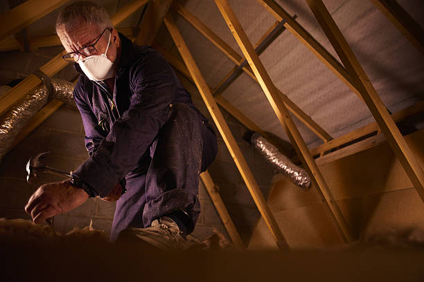 Types of Insulation We Offer in Saxapahaw, NC